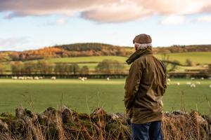 Farming Divorce