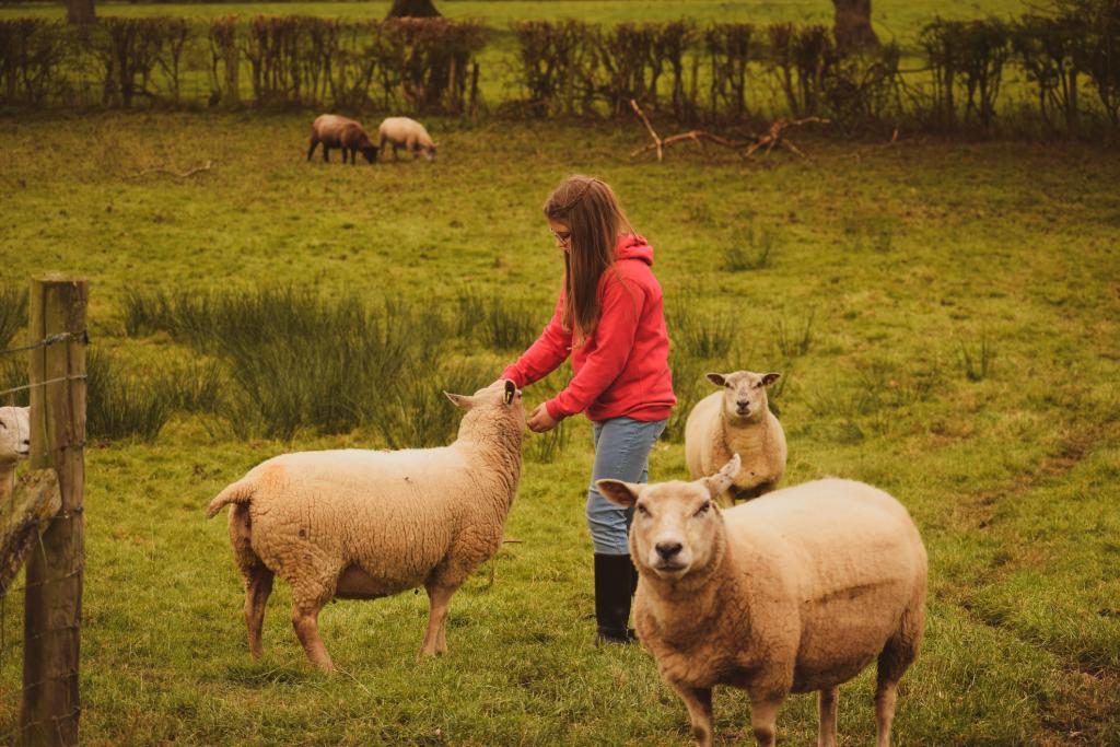 Farming families can co-parent after separation